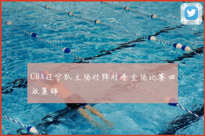 CBA辽宁队主场对阵对手全场比赛回放集锦