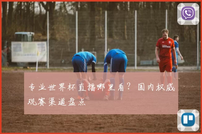 专业世界杯直播哪里看？国内权威观赛渠道盘点