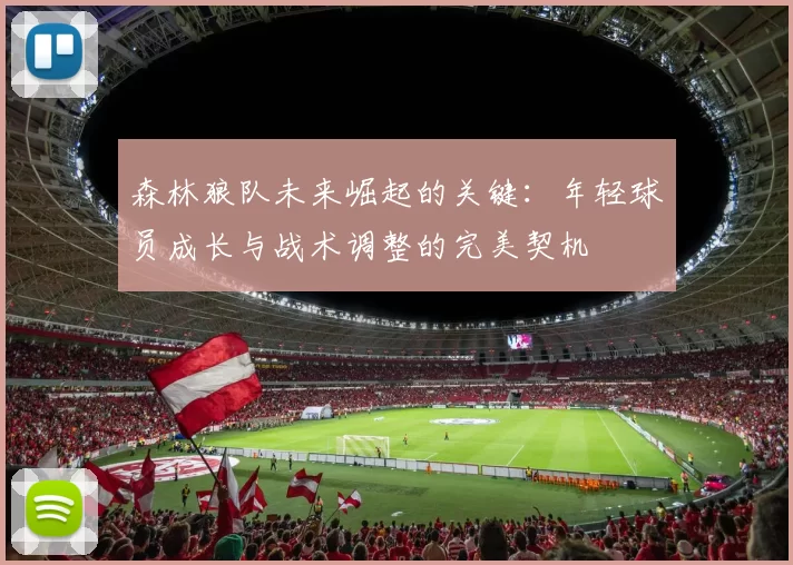 森林狼队未来崛起的关键：年轻球员成长与战术调整的完美契机