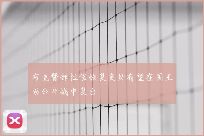 布克臀部拉伤恢复良好有望在国王或公牛战中复出