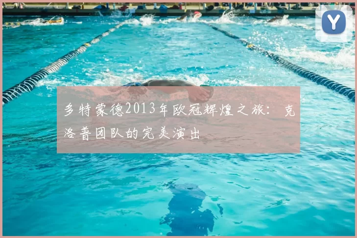 多特蒙德2013年欧冠辉煌之旅：克洛普团队的完美演出