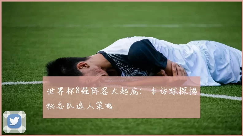 世界杯8强阵容大起底：专访球探揭秘各队选人策略
