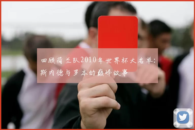 回顾荷兰队2010年世界杯大名单:斯内德与罗本的巅峰故事