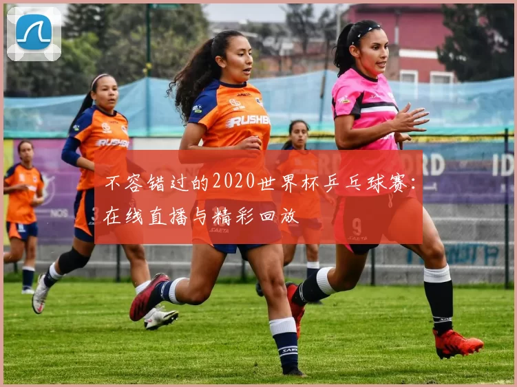 不容错过的2020世界杯乒乓球赛：在线直播与精彩回放