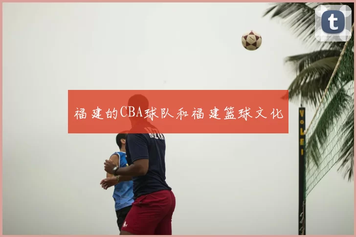 福建的CBA球队和福建篮球文化