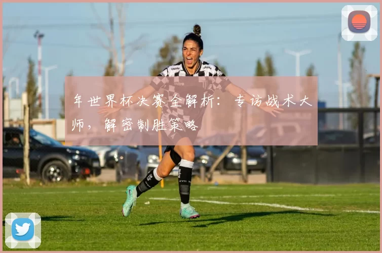 年世界杯决赛全解析：专访战术大师，解密制胜策略