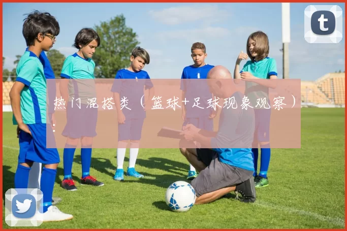 热门混搭类（篮球+足球现象观察）：