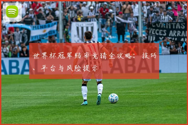 世界杯冠军赔率竞猜全攻略：技巧、平台与风险提示