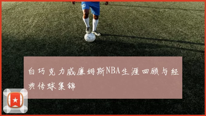 白巧克力威廉姆斯NBA生涯回顾与经典传球集锦