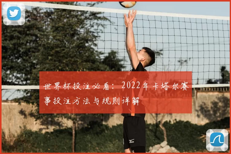 世界杯投注必看：2022年卡塔尔赛事投注方法与规则详解