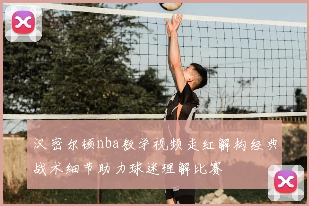 汉密尔顿nba教学视频走红解构经典战术细节助力球迷理解比赛