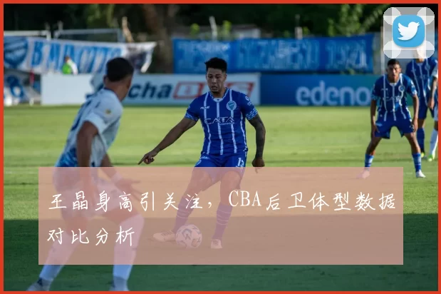 王晶身高引关注，CBA后卫体型数据对比分析