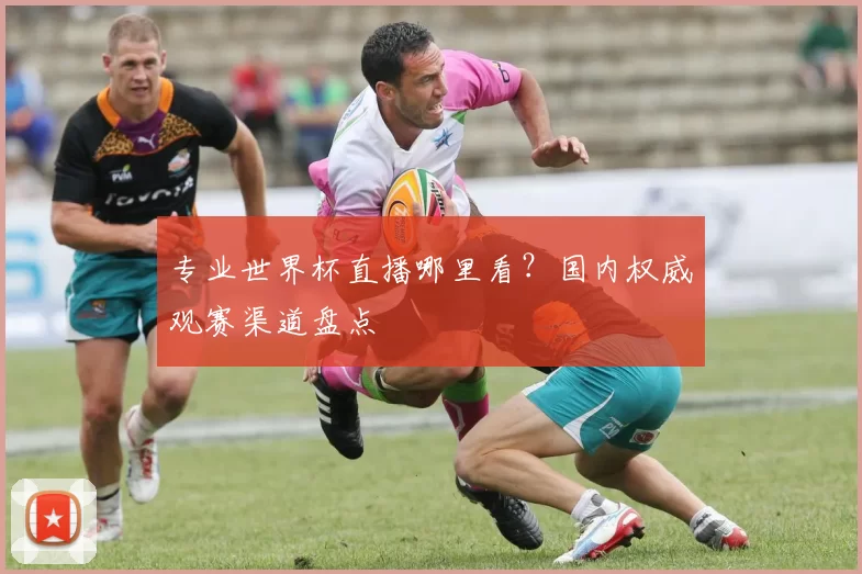 专业世界杯直播哪里看？国内权威观赛渠道盘点