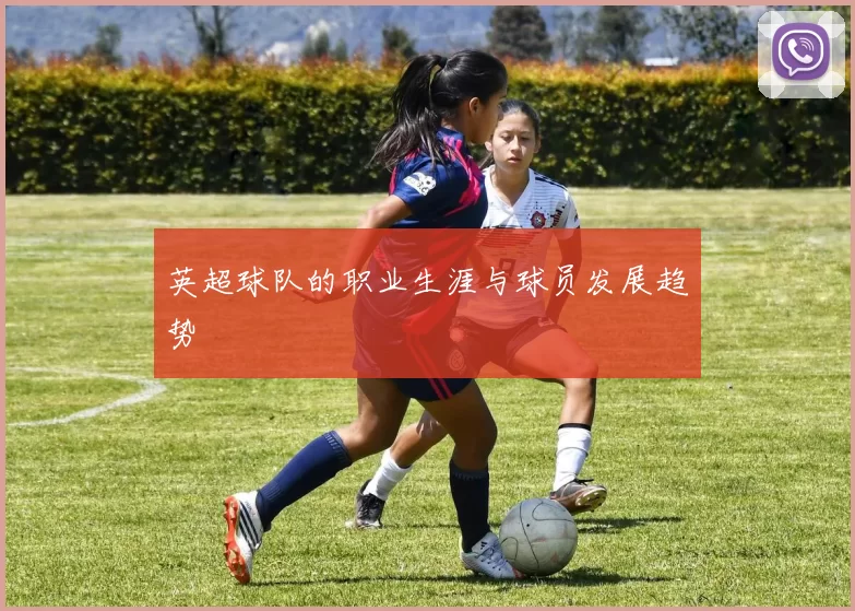 英超球队的职业生涯与球员发展趋势