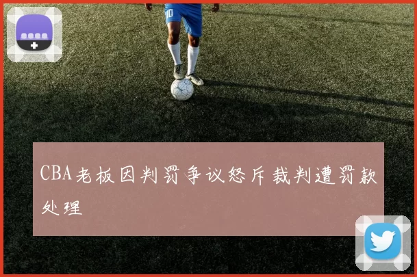 CBA老板因判罚争议怒斥裁判遭罚款处理