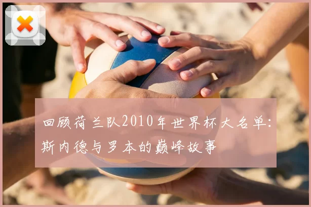 回顾荷兰队2010年世界杯大名单：斯内德与罗本的巅峰故事
