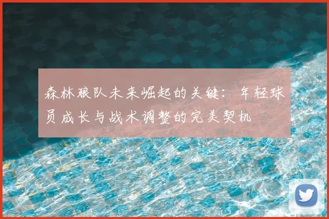 森林狼队未来崛起的关键：年轻球员成长与战术调整的完美契机