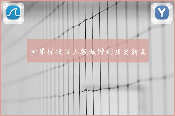 世界杯投注人数激增创历史新高