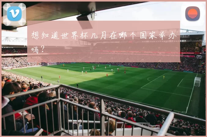 想知道世界杯几月在哪个国家举办吗?