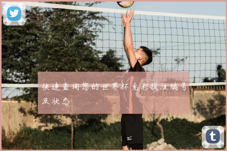 快速查询您的世界杯竞彩投注编号及状态