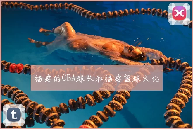 福建的CBA球队和福建篮球文化