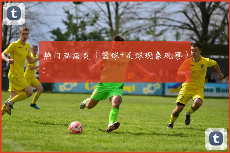 热门混搭类（篮球+足球现象观察）：