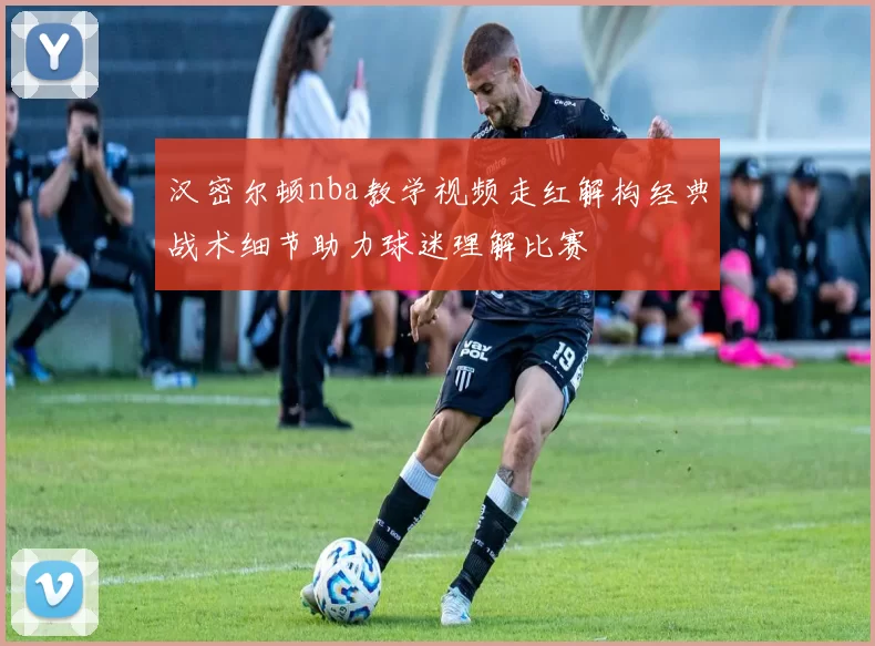 汉密尔顿nba教学视频走红解构经典战术细节助力球迷理解比赛