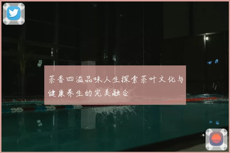 茶香四溢品味人生探索茶叶文化与健康养生的完美融合