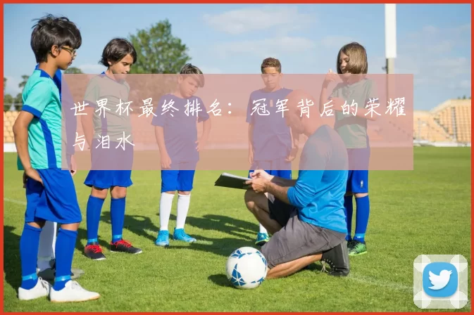 世界杯最终排名：冠军背后的荣耀与泪水